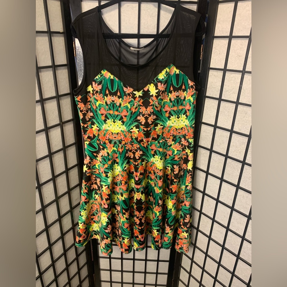 Plus size Flower Mesh Skater Dress